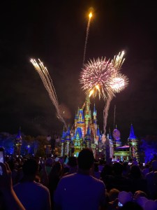 The image shows fireworks exploding behind the Castle in Disney World’s Magic Kingdom. 