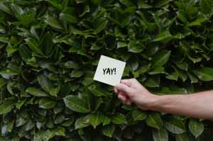 A person's arm holds out a small post-it note in front of a hedge. The note reads, simply, "YAY!"