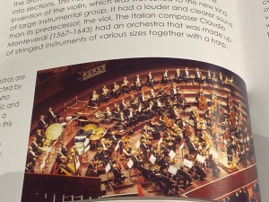 One of the images used in the book shows a full orchestra on stage during a performance.