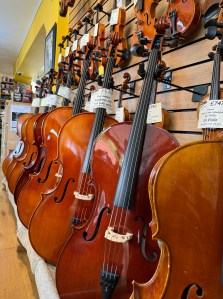 A display of cellos and violins available to purchase on the day of my visit, focussing on the cellos.